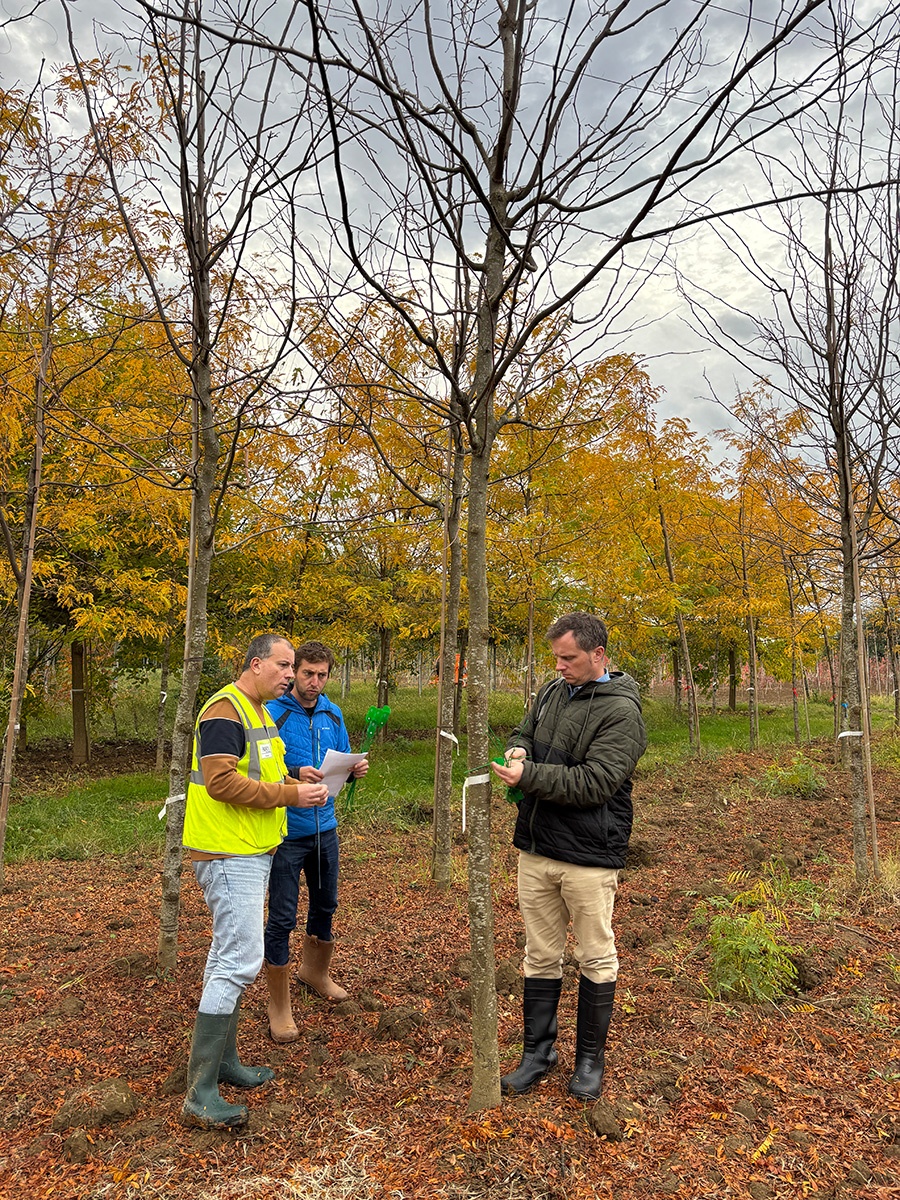 BDP%20pe%CC%81pinie%CC%80re%201