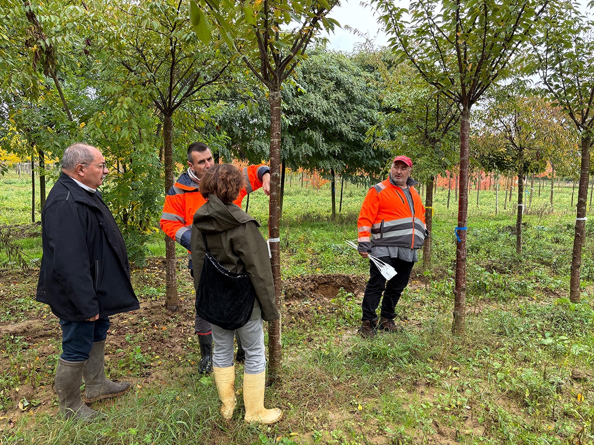 BDP%20pe%CC%81pinie%CC%80re%203