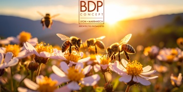 BDP Concept